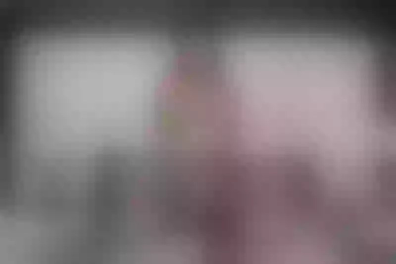 Live sex webcam photo for EvelynSmit #3075318