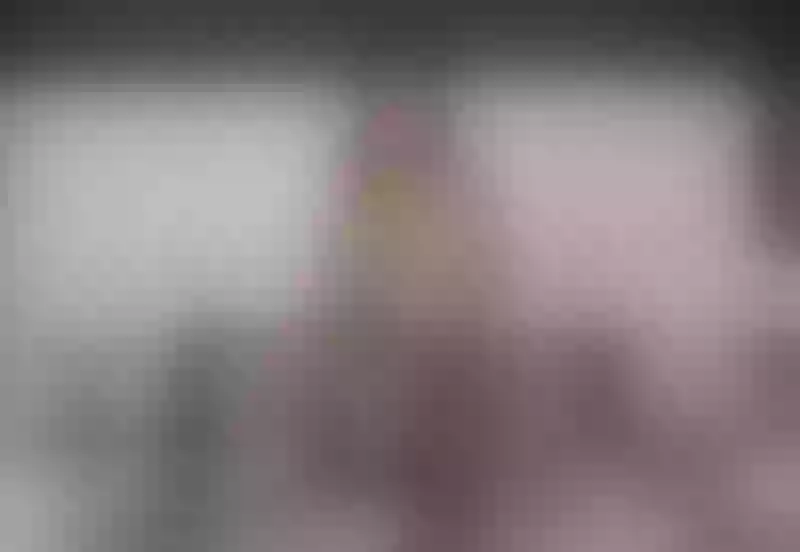 Live sex webcam photo for EvelynSmit #3075320