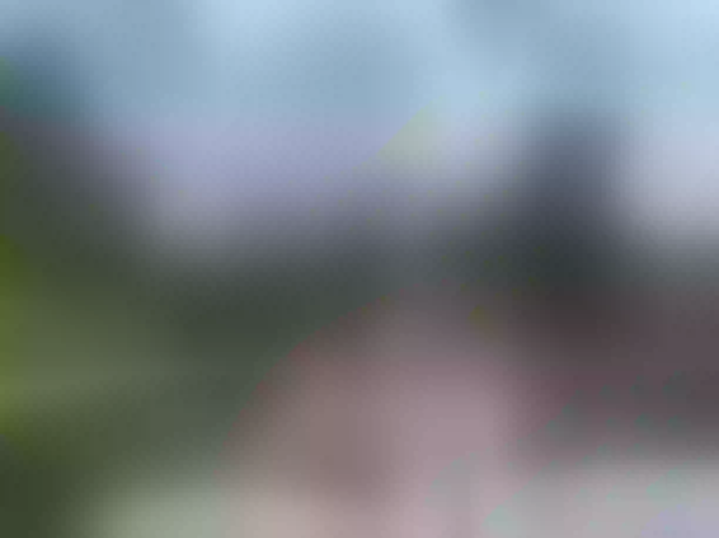 Live sex webcam photo for AngelaDiMartino #7255124