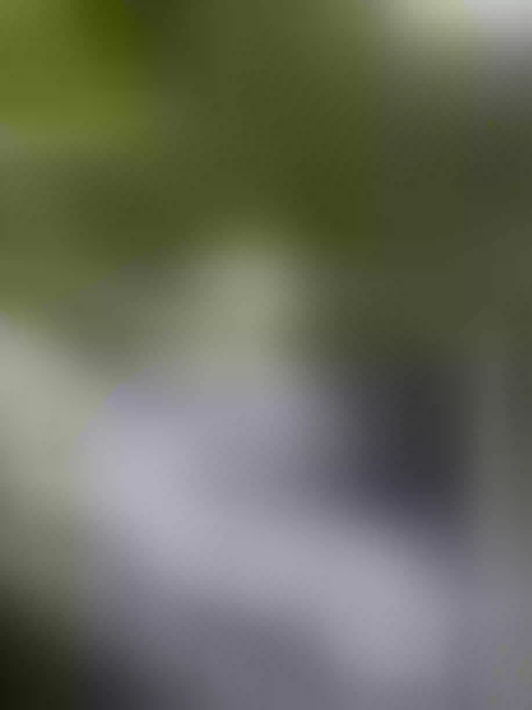 Live sex webcam photo for AngelaDiMartino #7255126