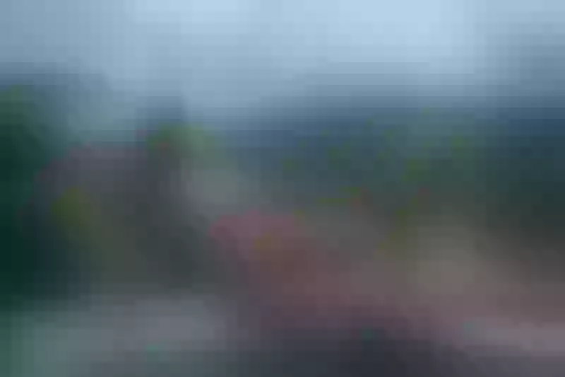 Live sex webcam photo for AliceTommps #4062197