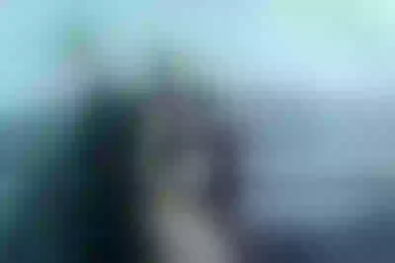 Live sex webcam photo for AgathaAdams #3475379