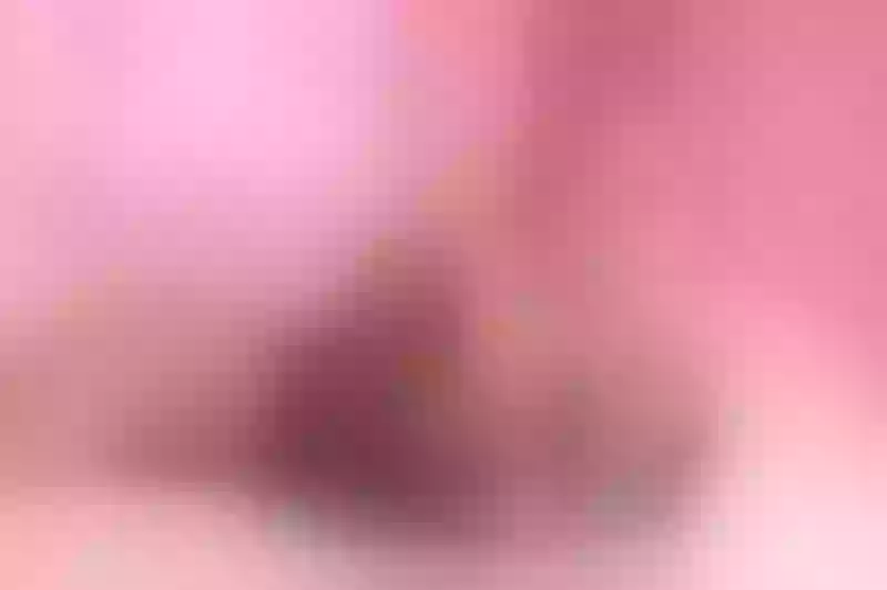 Live sex webcam photo for JuliaMilla #3312196
