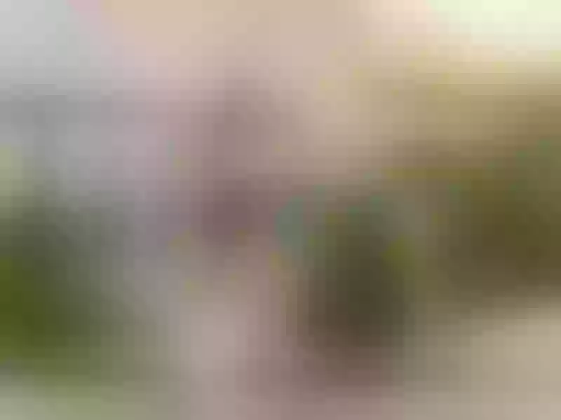 Live sex webcam photo for SandraBigAss #5876658
