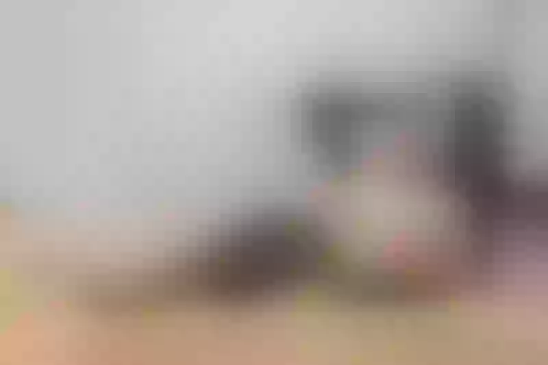 Live sex webcam photo for neelaas #3205050