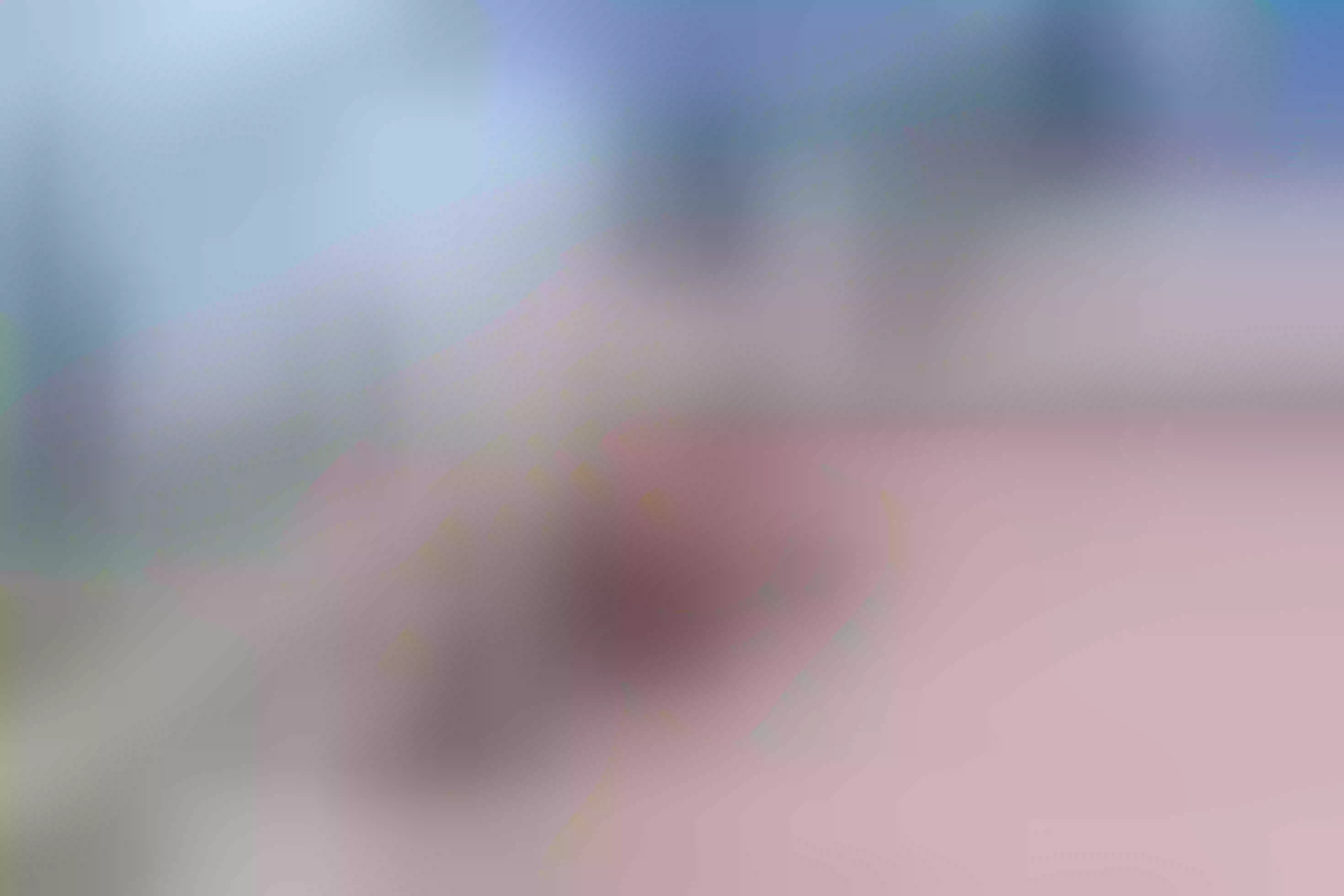 Live sex webcam photo for NicollColleman #7942921