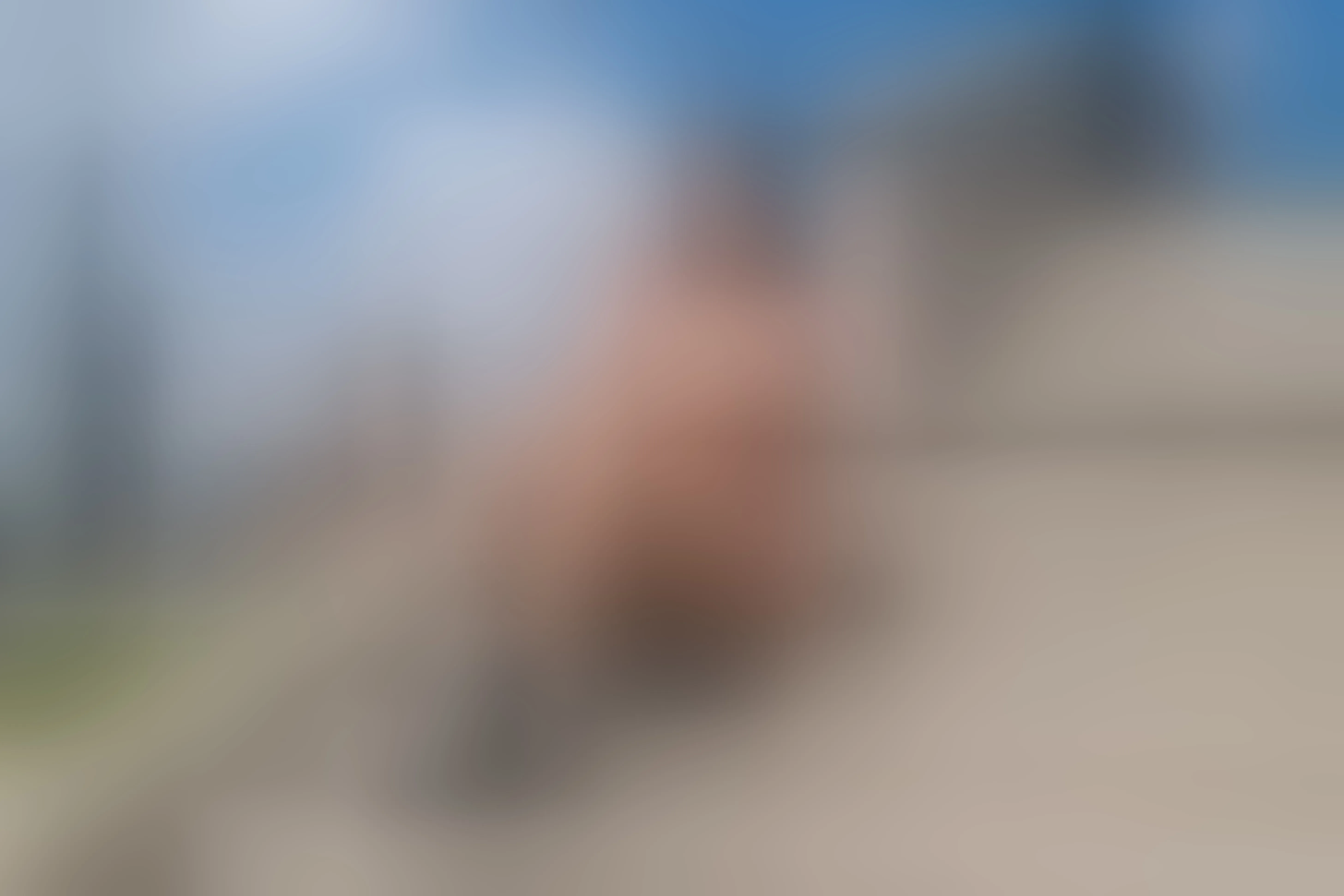 Live sex webcam photo for NicollColleman #7942923