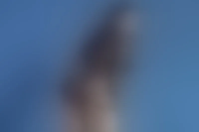 Live sex webcam photo for LanaAtkins #3449734