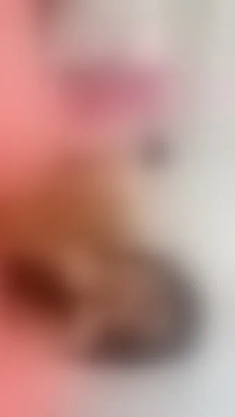 Live sex webcam photo for EimyCruz #3325500
