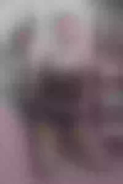 Live sex webcam photo for ReaxRousse #3151244
