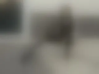 Live sex webcam photo for ZoeVidal #8079622