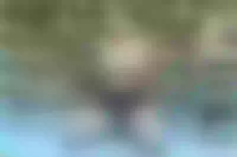 Live sex webcam photo for ParisPeach #4051841
