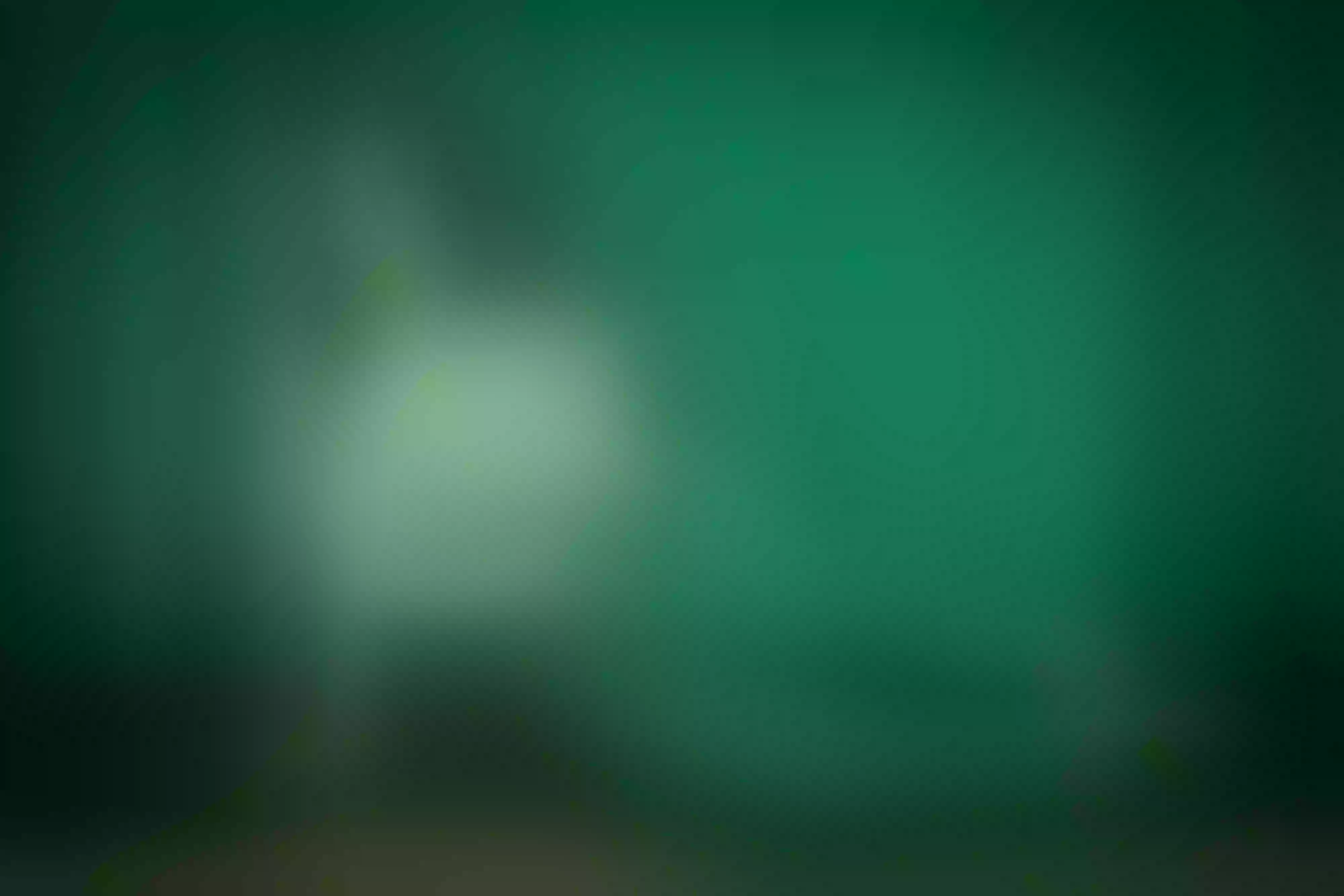 Live sex webcam photo for NatalyHansen #7153834