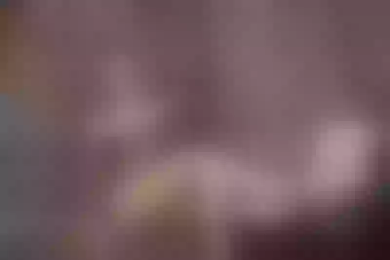 Live sex webcam photo for NicoleHaniston #3174356