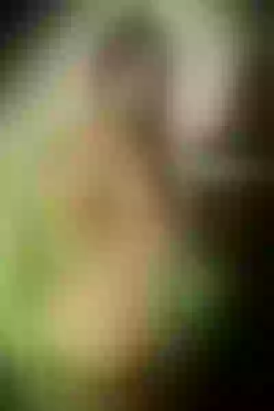Live sex webcam photo for KendellKaore #6113540
