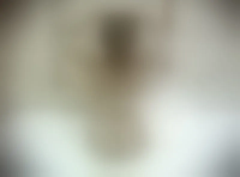 Live sex webcam photo for KendellKaore #5312841