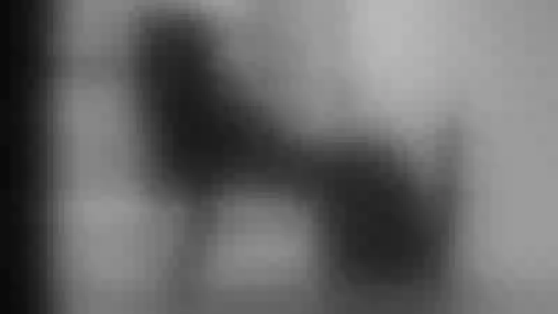 Live sex webcam photo for VioletJonnes #3507915