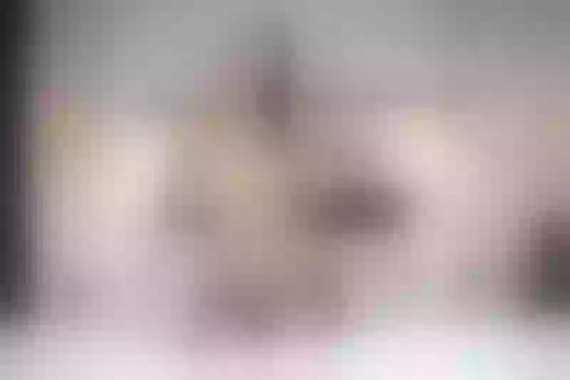 Live sex webcam photo for AlisonWayne #4130389