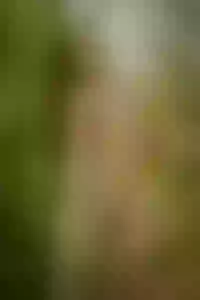 Live sex webcam photo for ChrissyBlair #3200759