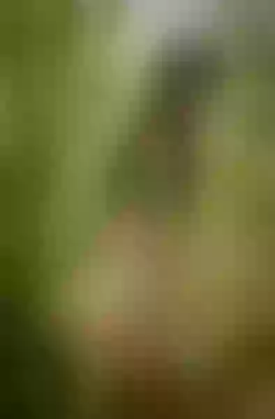 Live sex webcam photo for ChrissyBlair #3200756