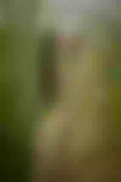 Live sex webcam photo for ChrissyBlair #3200757