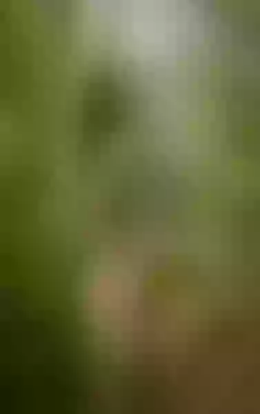 Live sex webcam photo for ChrissyBlair #3200754