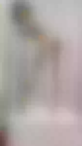 Live sex webcam photo for ChrissyBlair #3859263