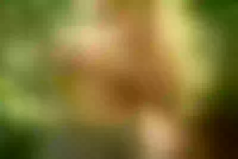 Live sex webcam photo for EmmaOwen #3176086