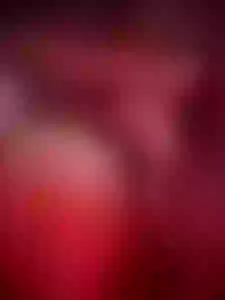 Live sex webcam photo for ElizabethRocher #6108904
