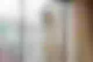 Live sex webcam photo for EvelynnLoverss #6158467