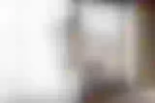 Live sex webcam photo for EvelynnLoverss #6158463