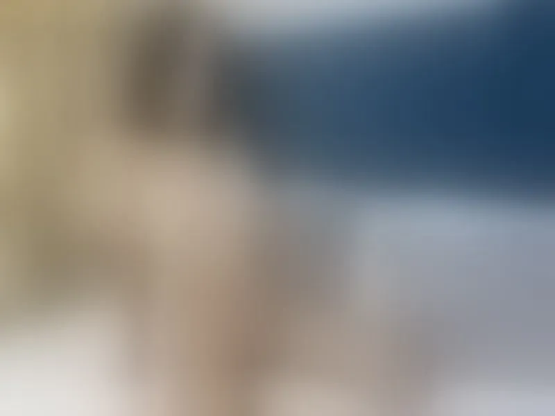 Live sex webcam photo for KeylaDixon #3310830