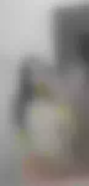 Live sex webcam photo for AnneJobs #3475995