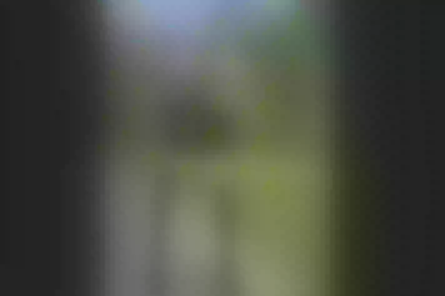Live sex webcam photo for LindsayDavis #7149707
