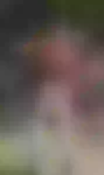 Live sex webcam photo for alaskacolors #3823413
