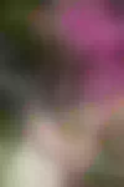 Live sex webcam photo for HannaWylliams #3534760
