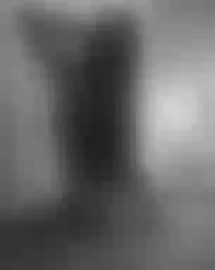 Live sex webcam photo for NathashaVelez #3423225