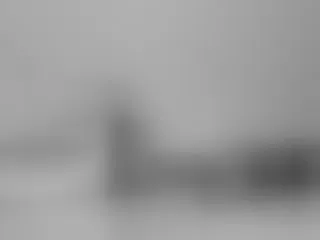 Live sex webcam photo for Bellywrist #5980609