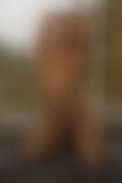 Live sex webcam photo for HannaScot #3187975