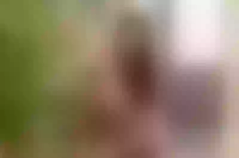 Live sex webcam photo for MoonieBaddiee #3397734