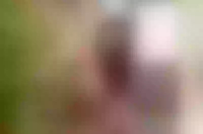 Live sex webcam photo for MoonieBaddiee #3397731