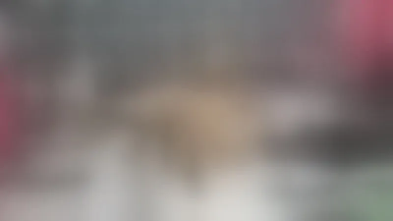 Live sex webcam photo for KarlaRoss #7254562