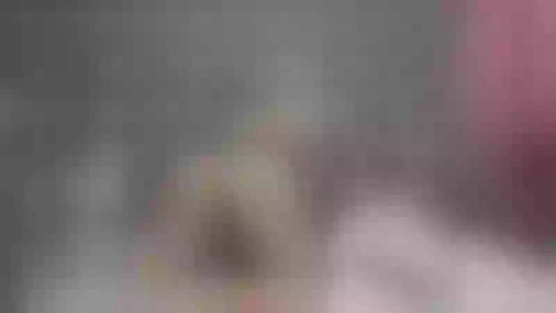 Live sex webcam photo for KarlaRoss #7254549