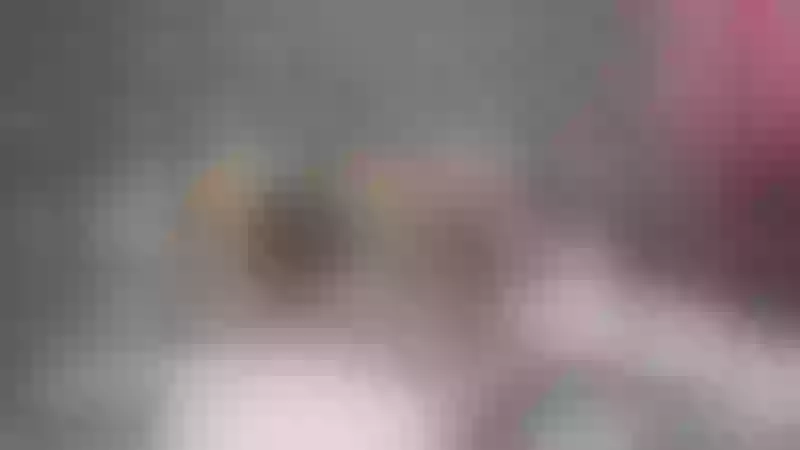 Live sex webcam photo for KarlaRoss #7254556