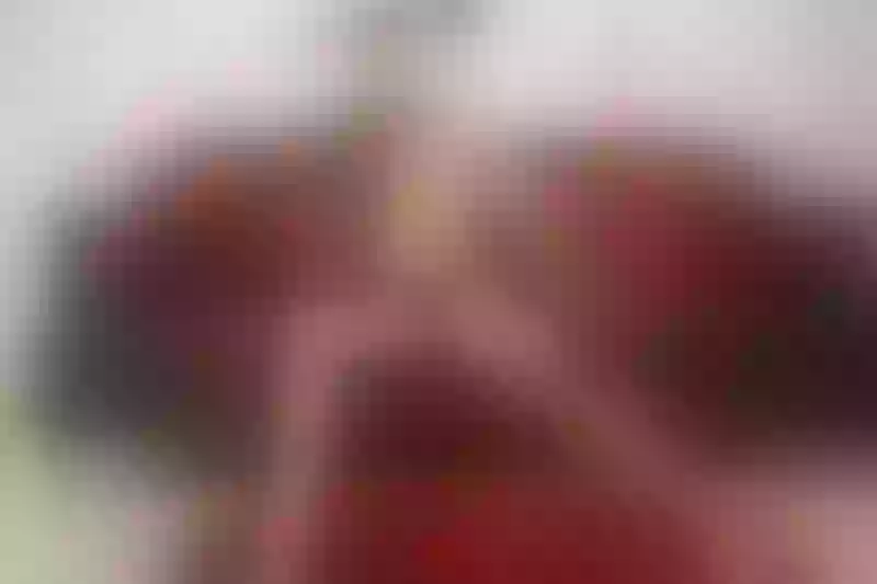 Live sex webcam photo for SalomeGaluska #3262563