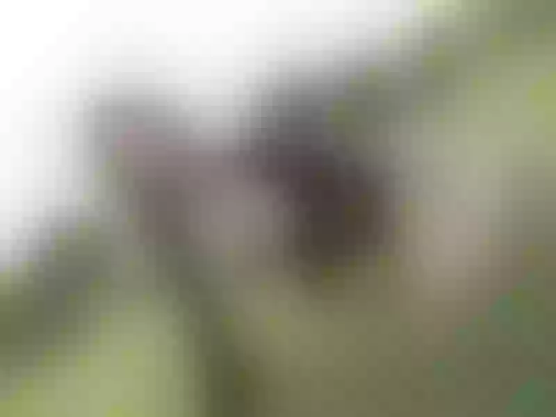 Live sex webcam photo for AmberCanberra #6508082