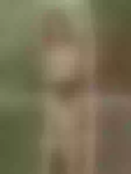 Live sex webcam photo for AmberCanberra #6508117