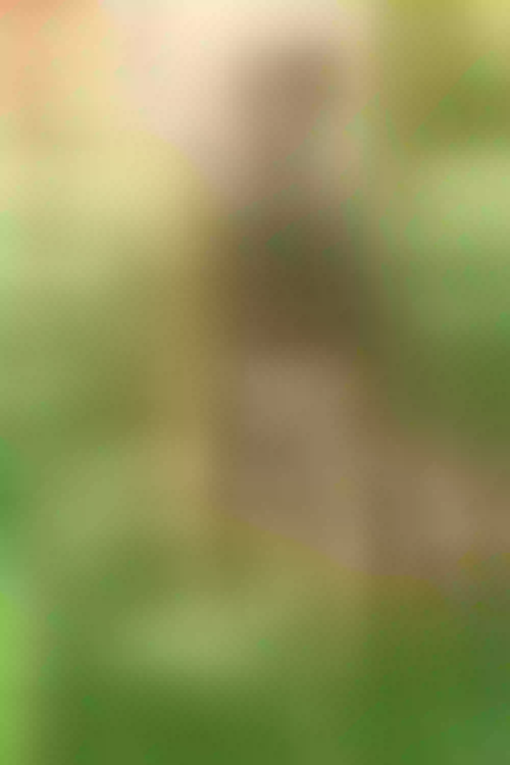 Live sex webcam photo for CatalinaTurner #7348004