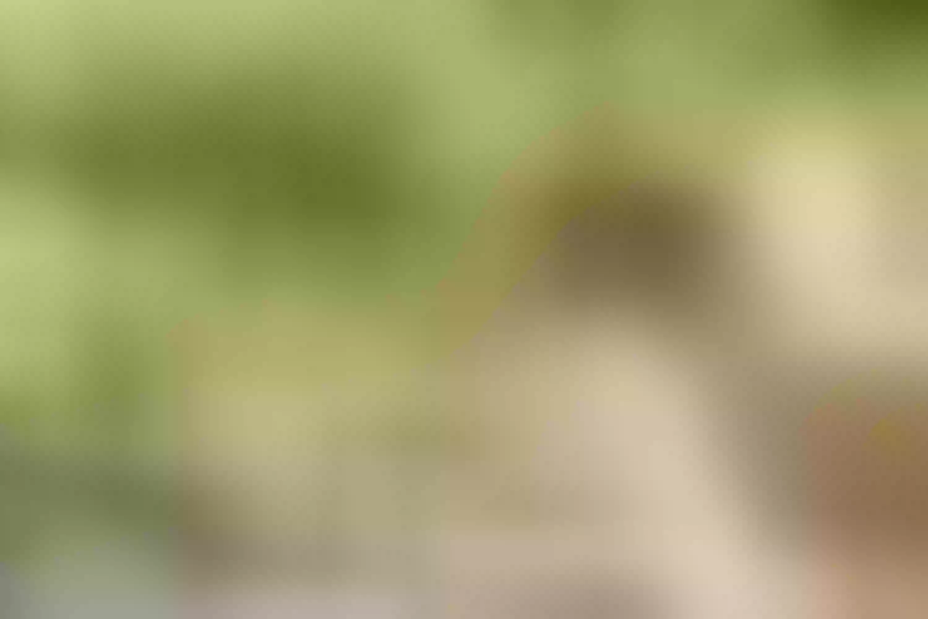 Live sex webcam photo for CatalinaTurner #7348001