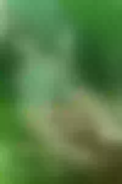 Live sex webcam photo for CatalinaTurner #7347948
